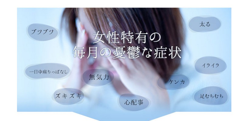 noi L�T�|�[�g �Ï��T�C�g